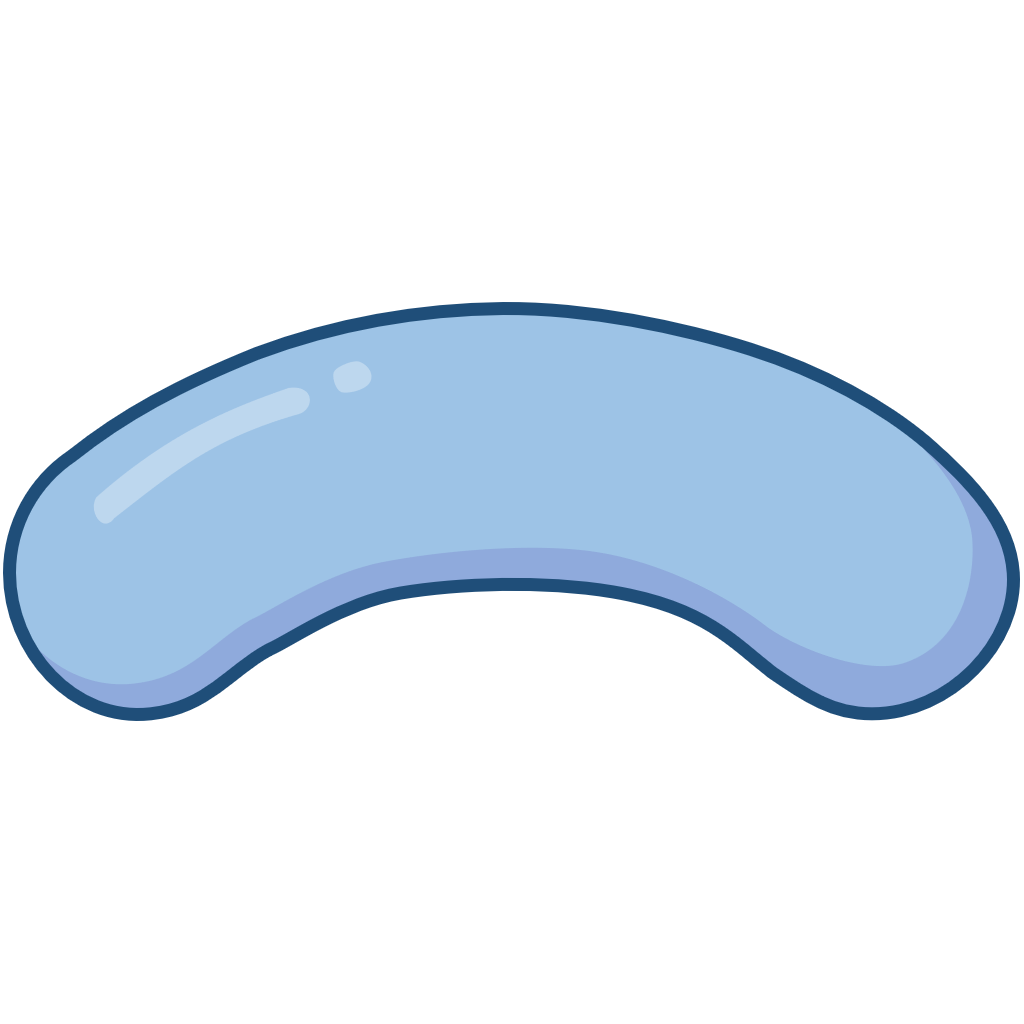 弧菌（Vibrio） – 思斐迩3D科学模型素材库