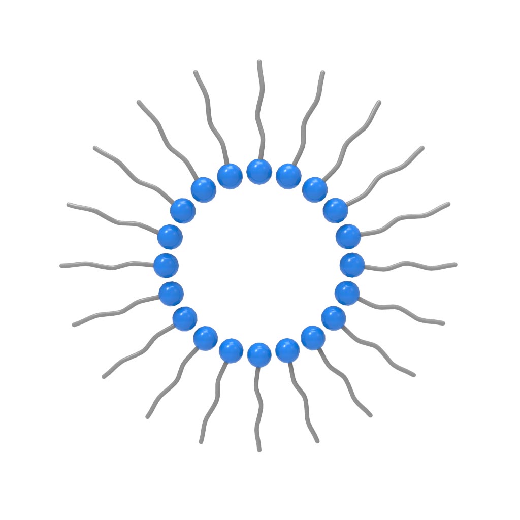 反相胶束截面2(Reverse Micelle Cross) – 思斐迩3D科学模型素材库